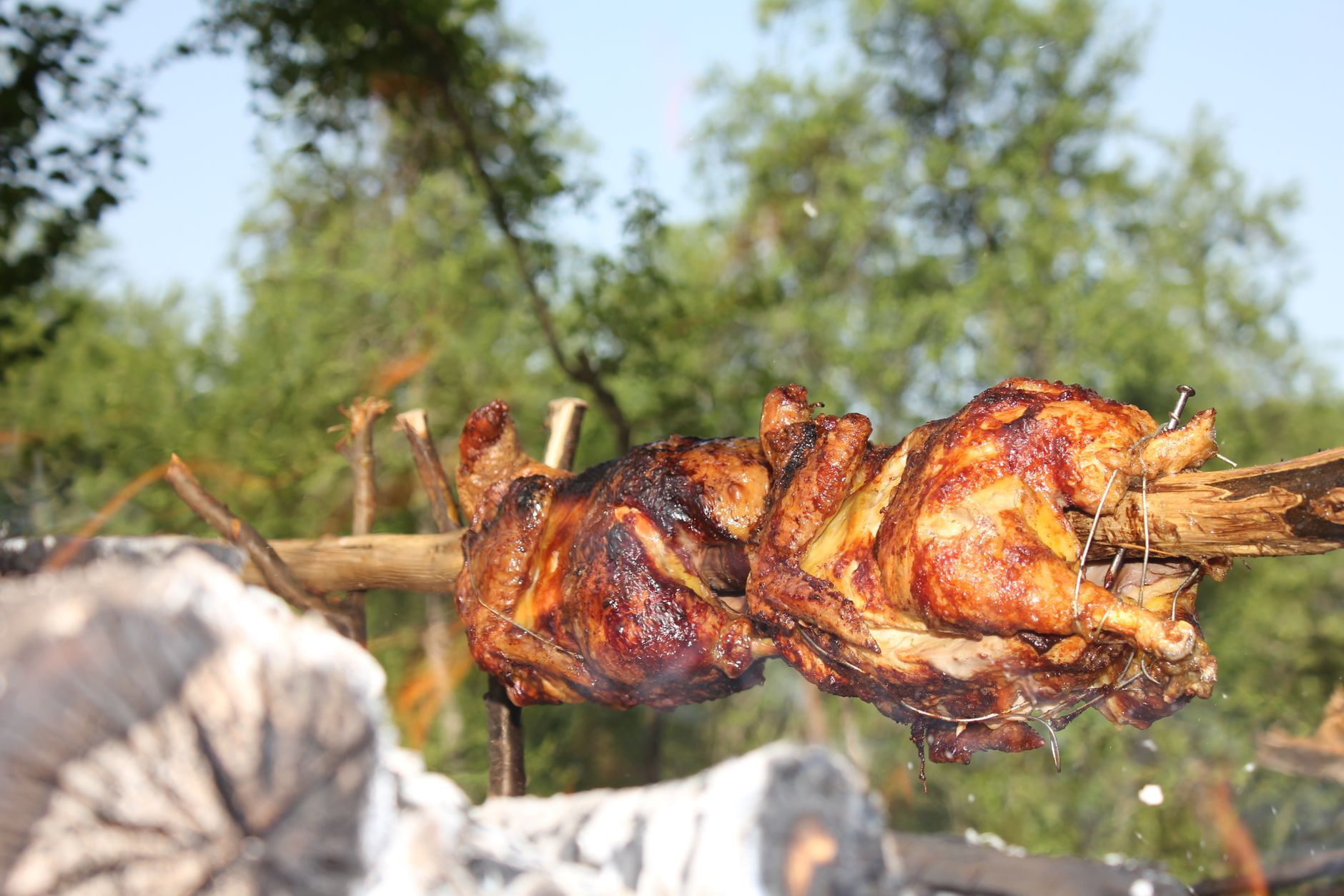Sticky Chicken