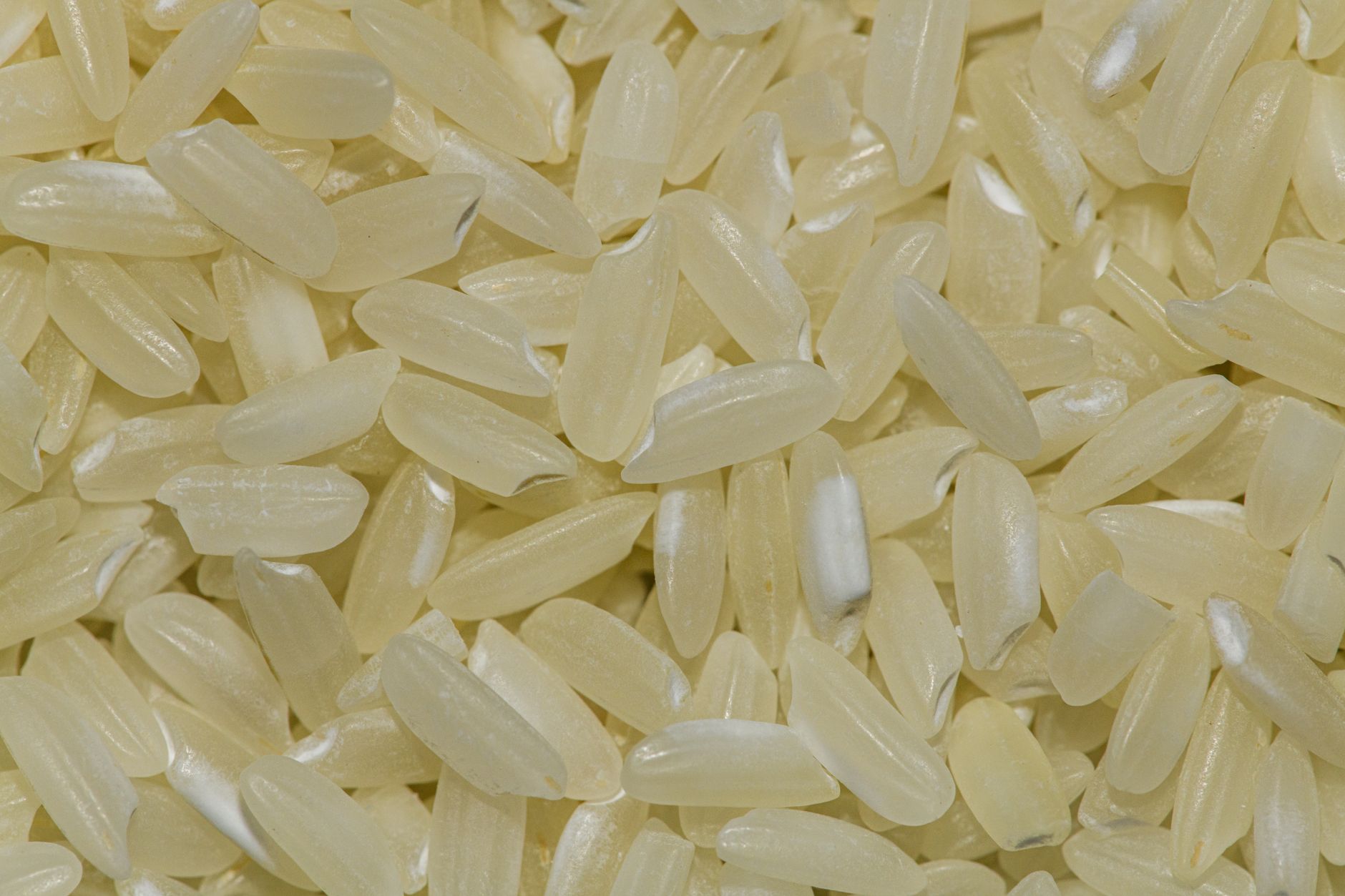 Asian Rice