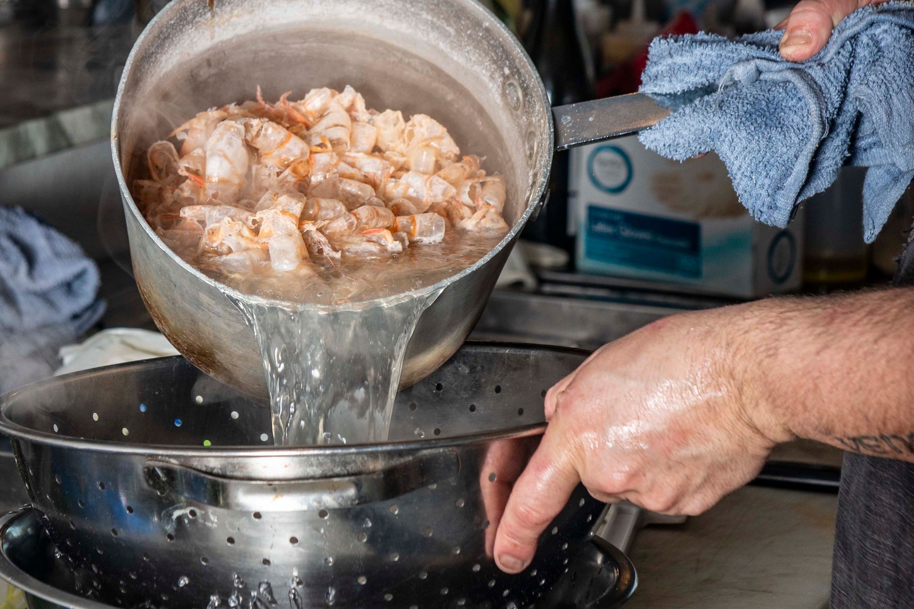 Boiled Shrimp