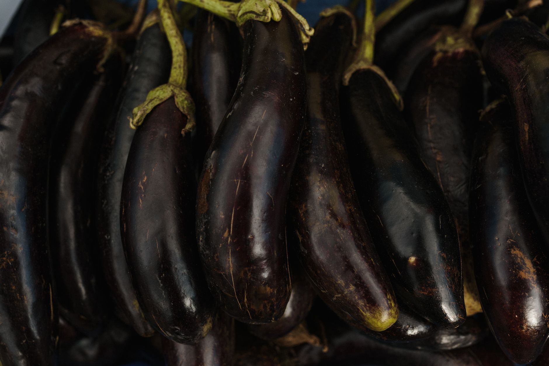 Sichuan Eggplant