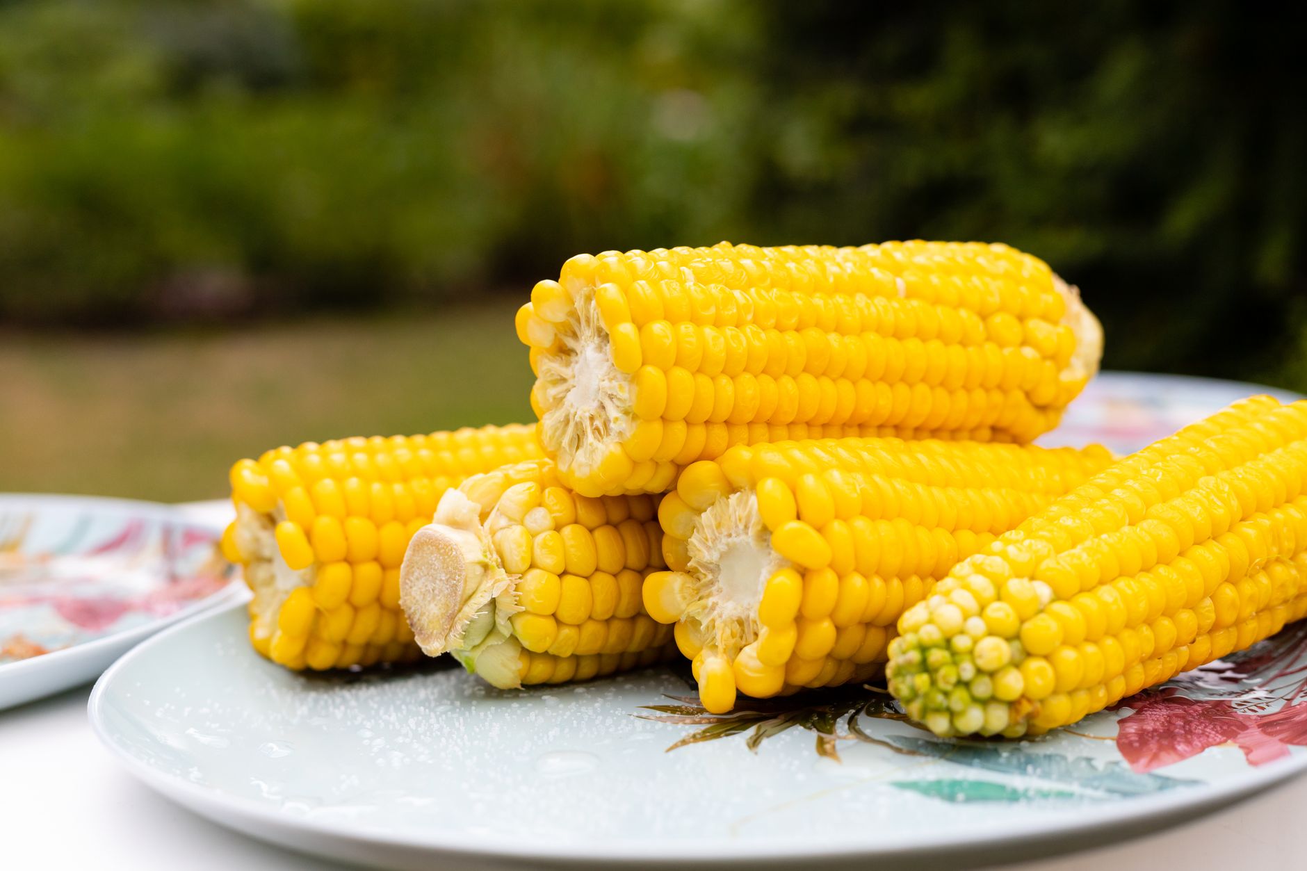 Microwave Corn On The Cob