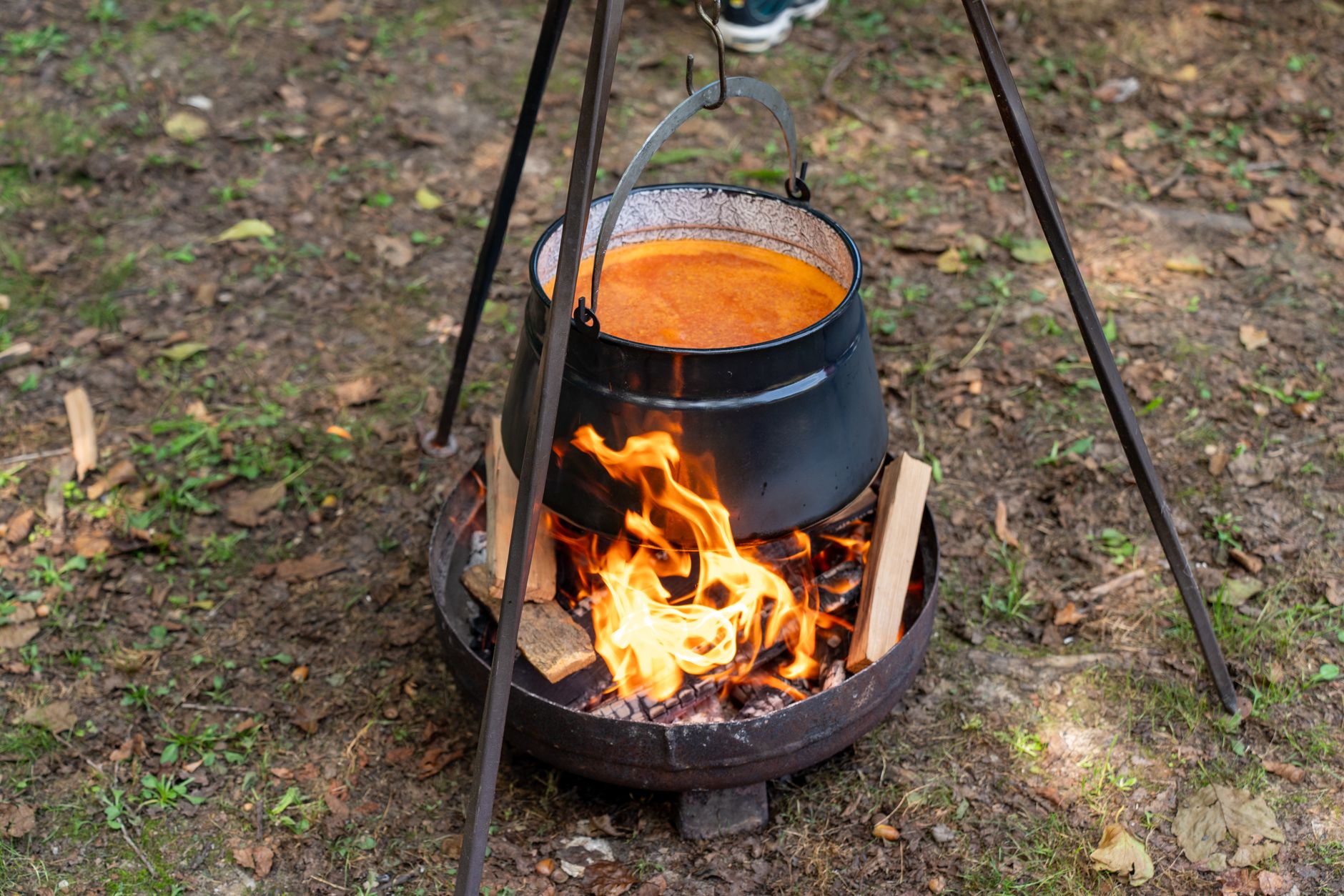 Brunswick Stew