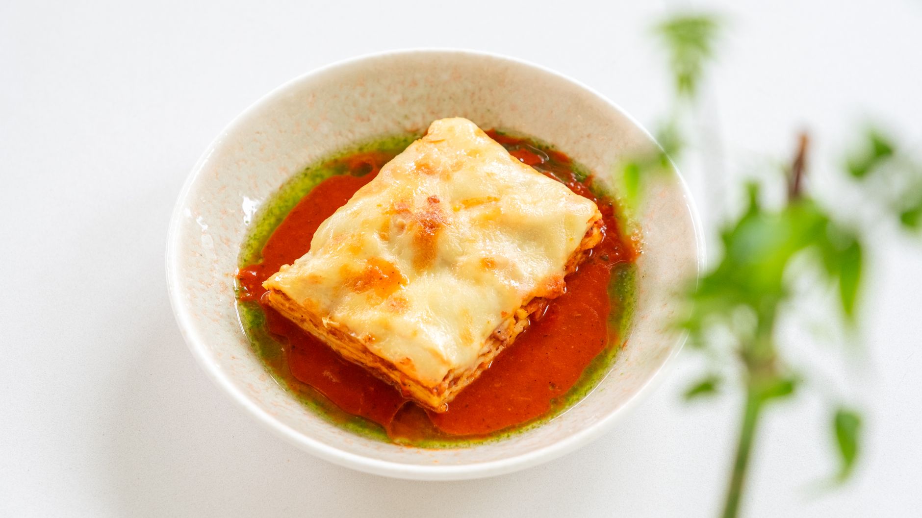 Dumpling Lasagna