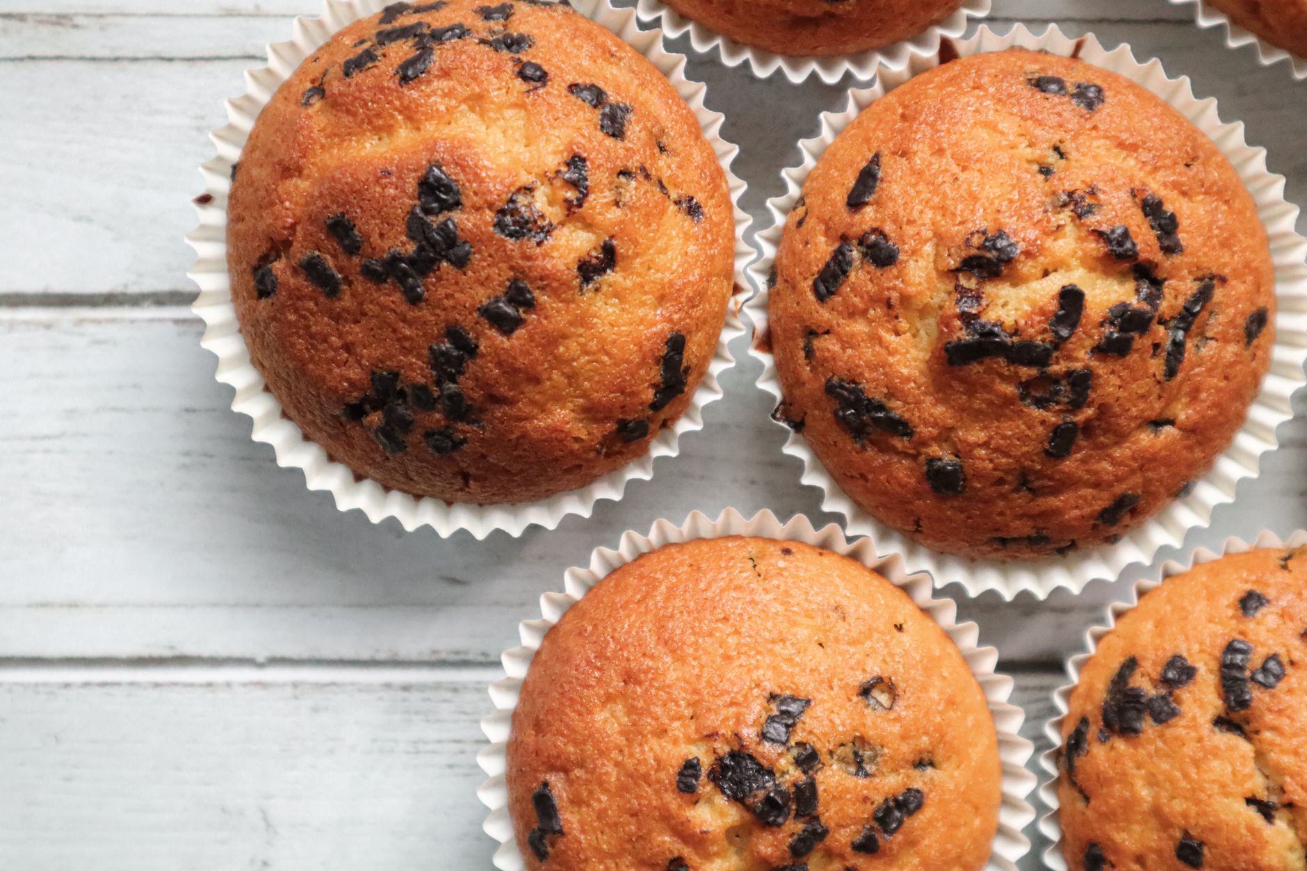 Orange Cranberry Muffins