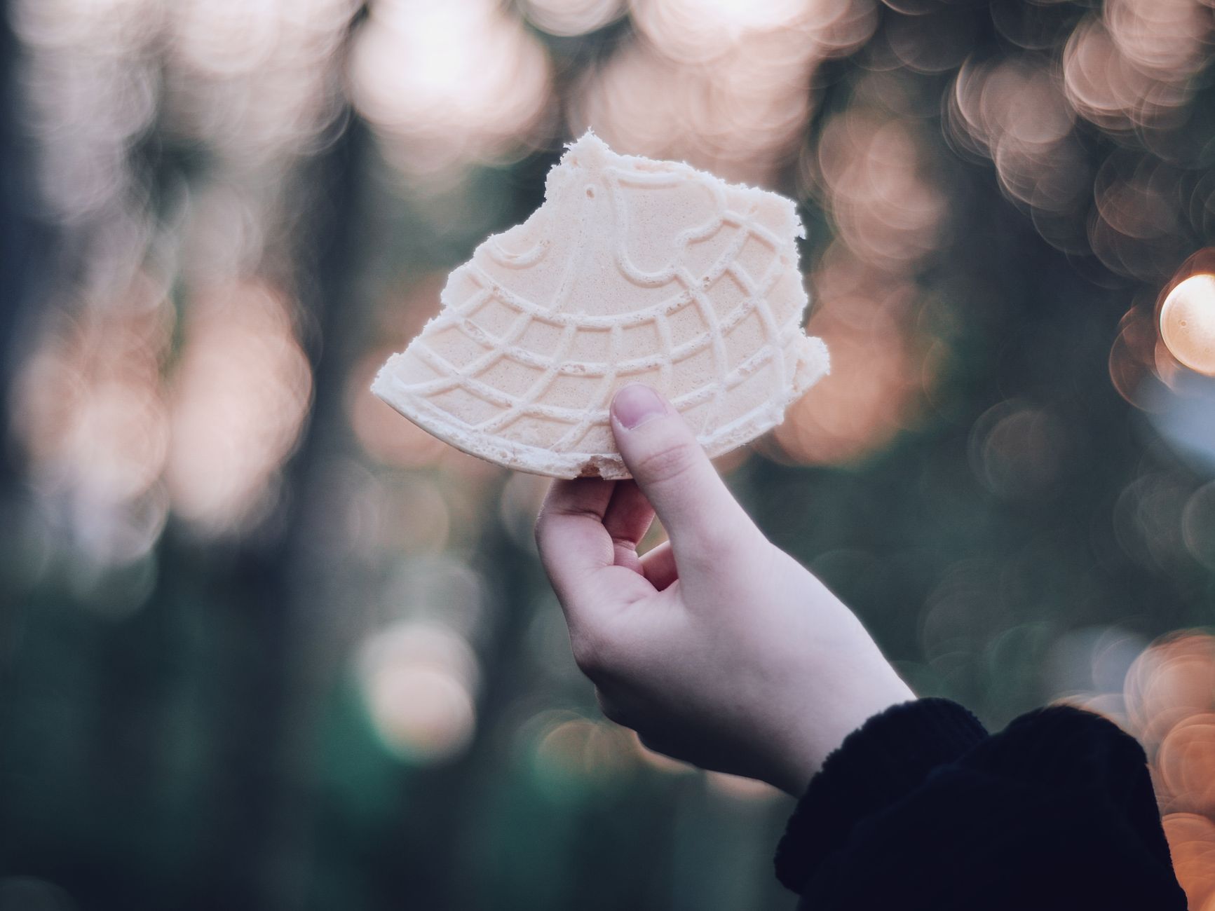Norwegian Krumkake