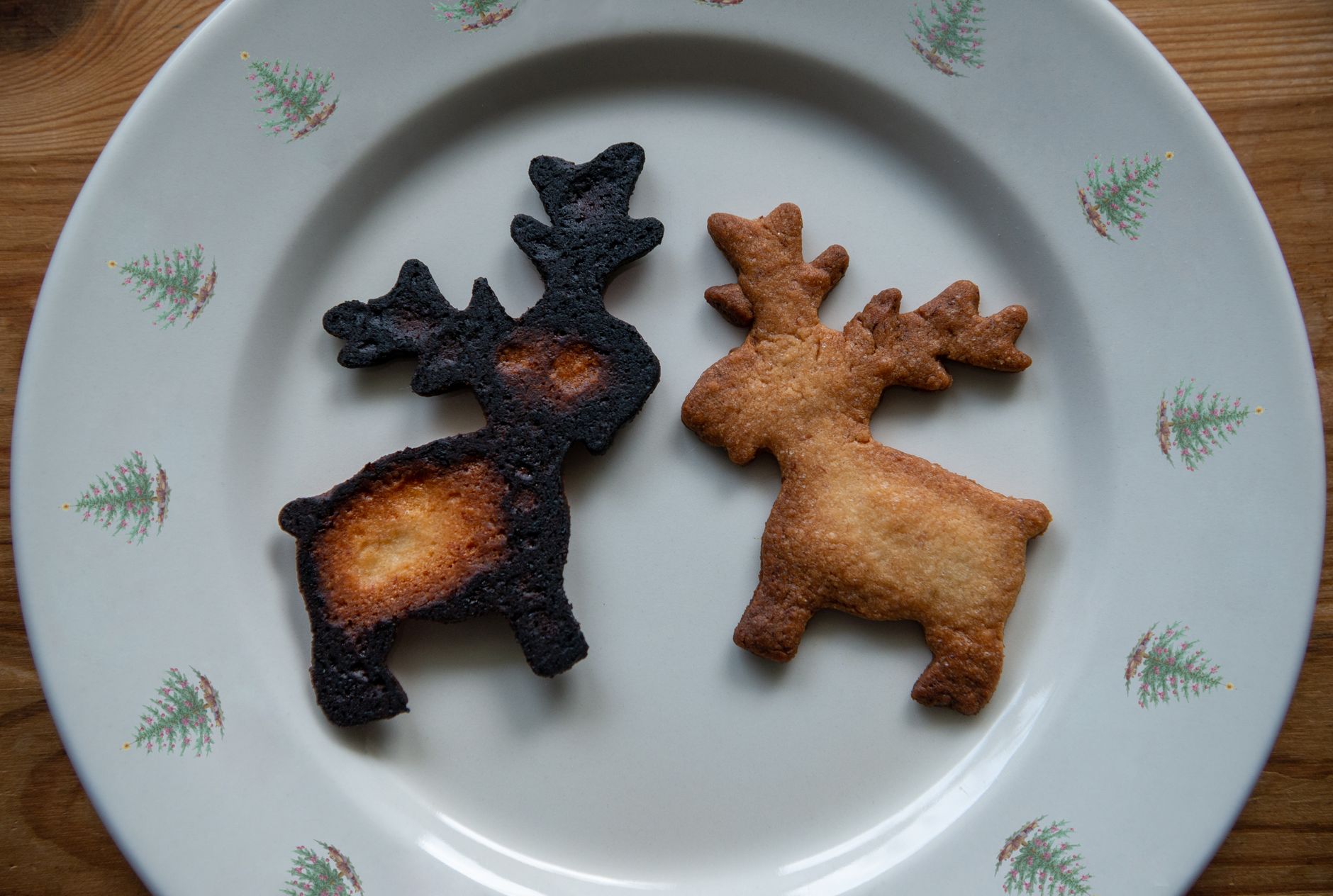 Reindeer food
