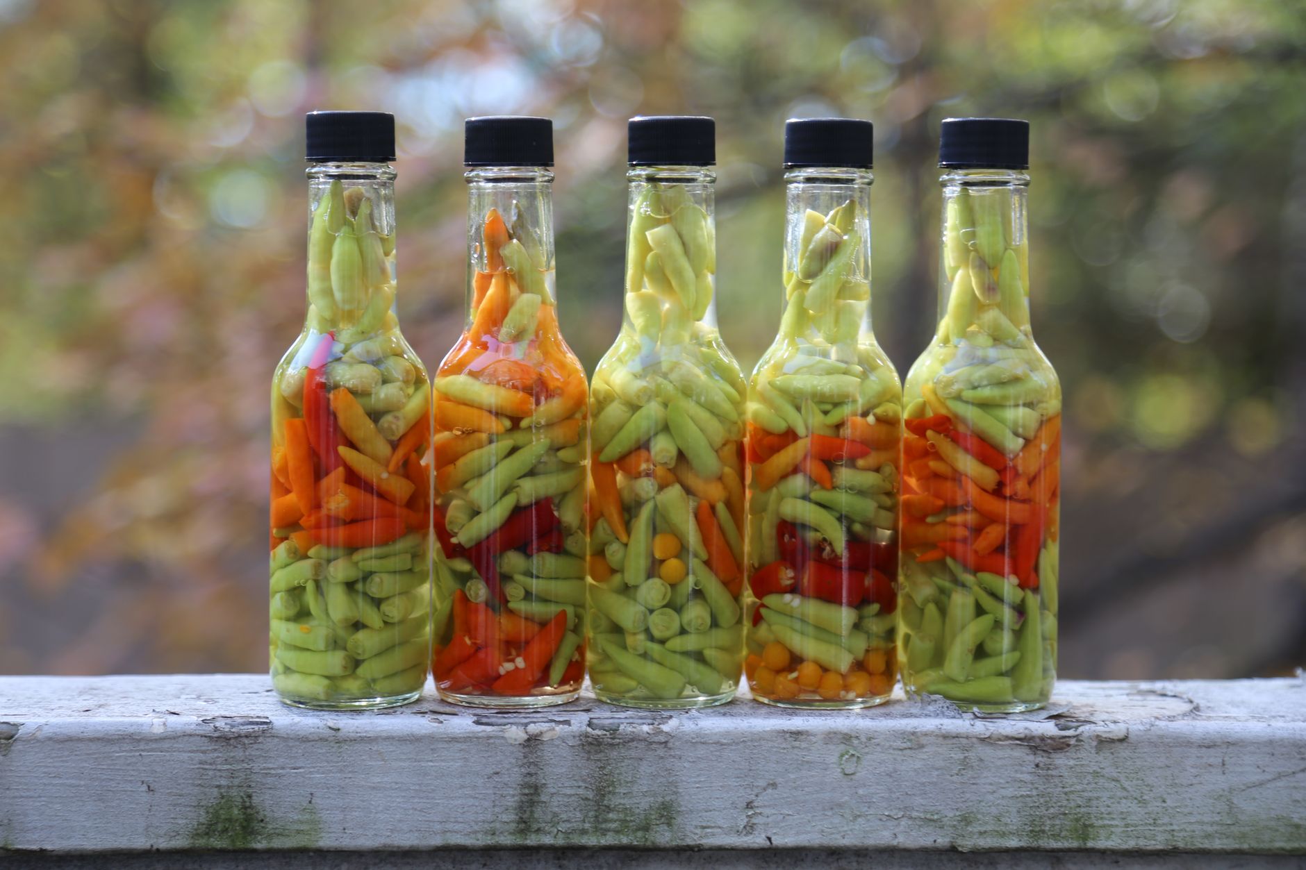 Pickled green beans