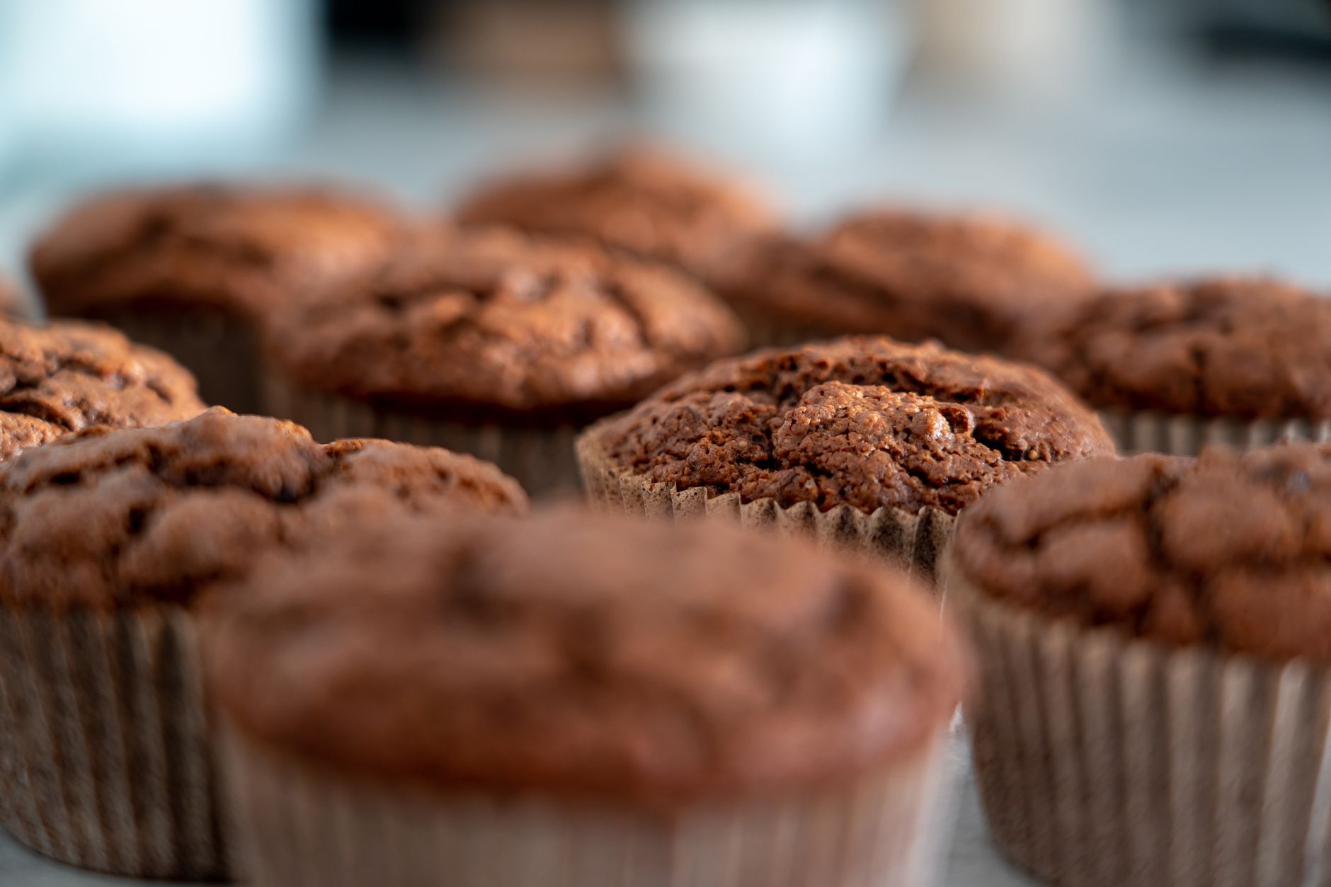 Apple Flax Muffins