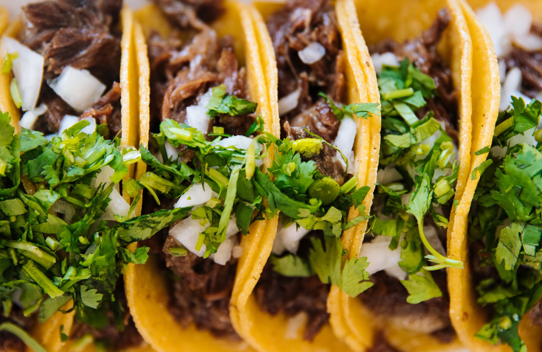Slow Cooker Carnitas