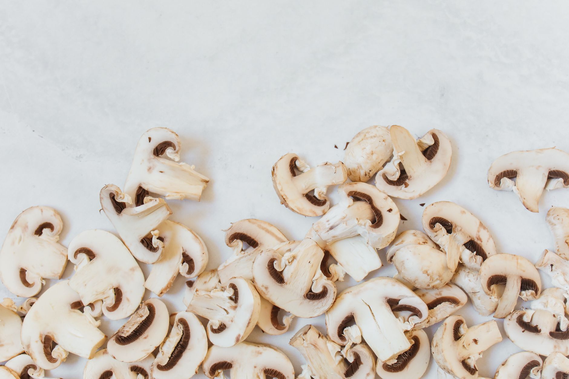 Mushroom Stroganoff
