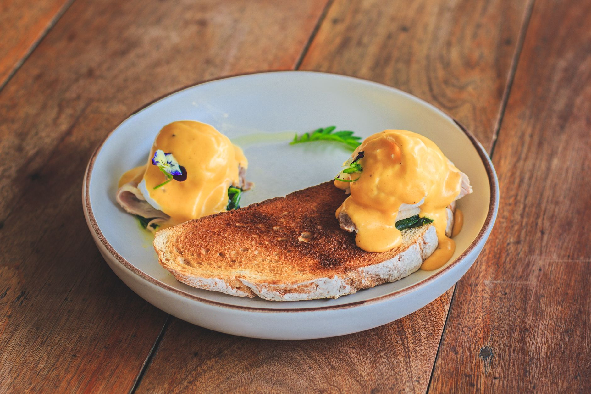 Easy Hollandaise Sauce