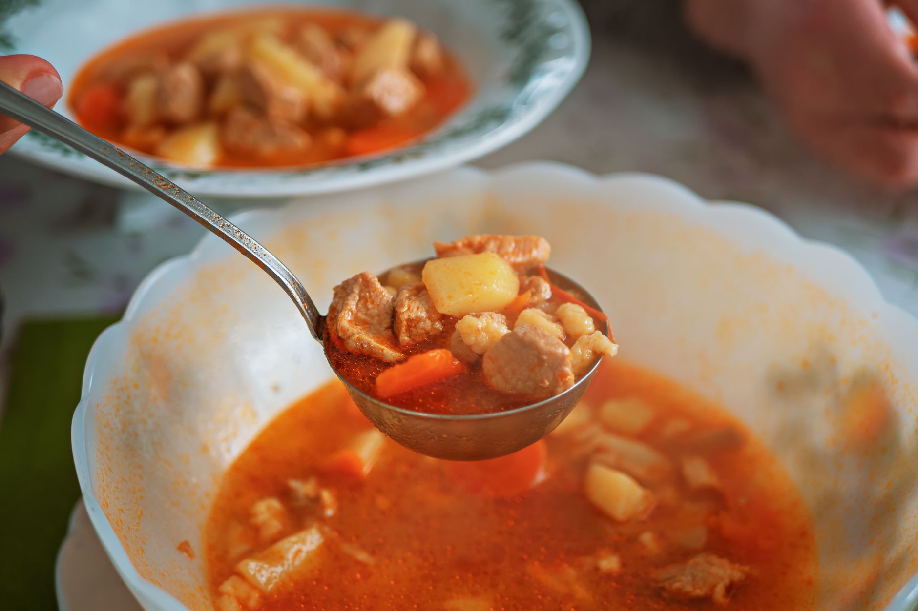 Turkey-Vegetable Soup