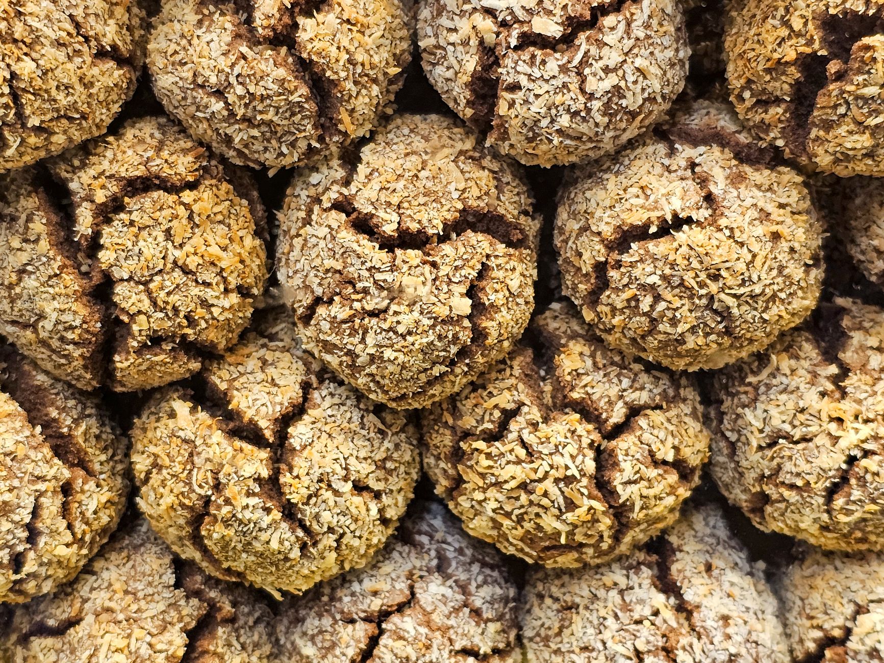 Coconut flour cookies