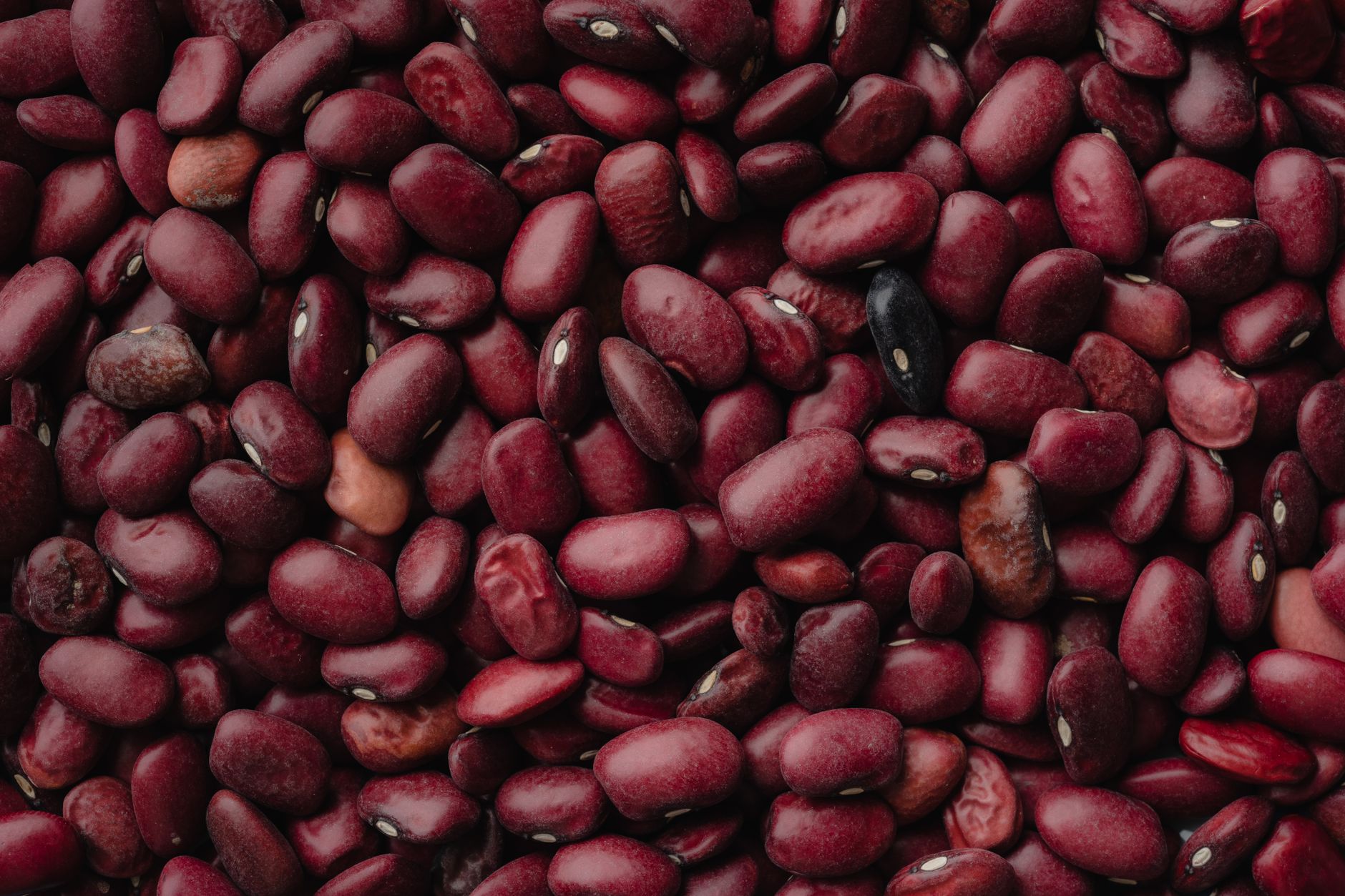 Pressure Cooker Red Beans