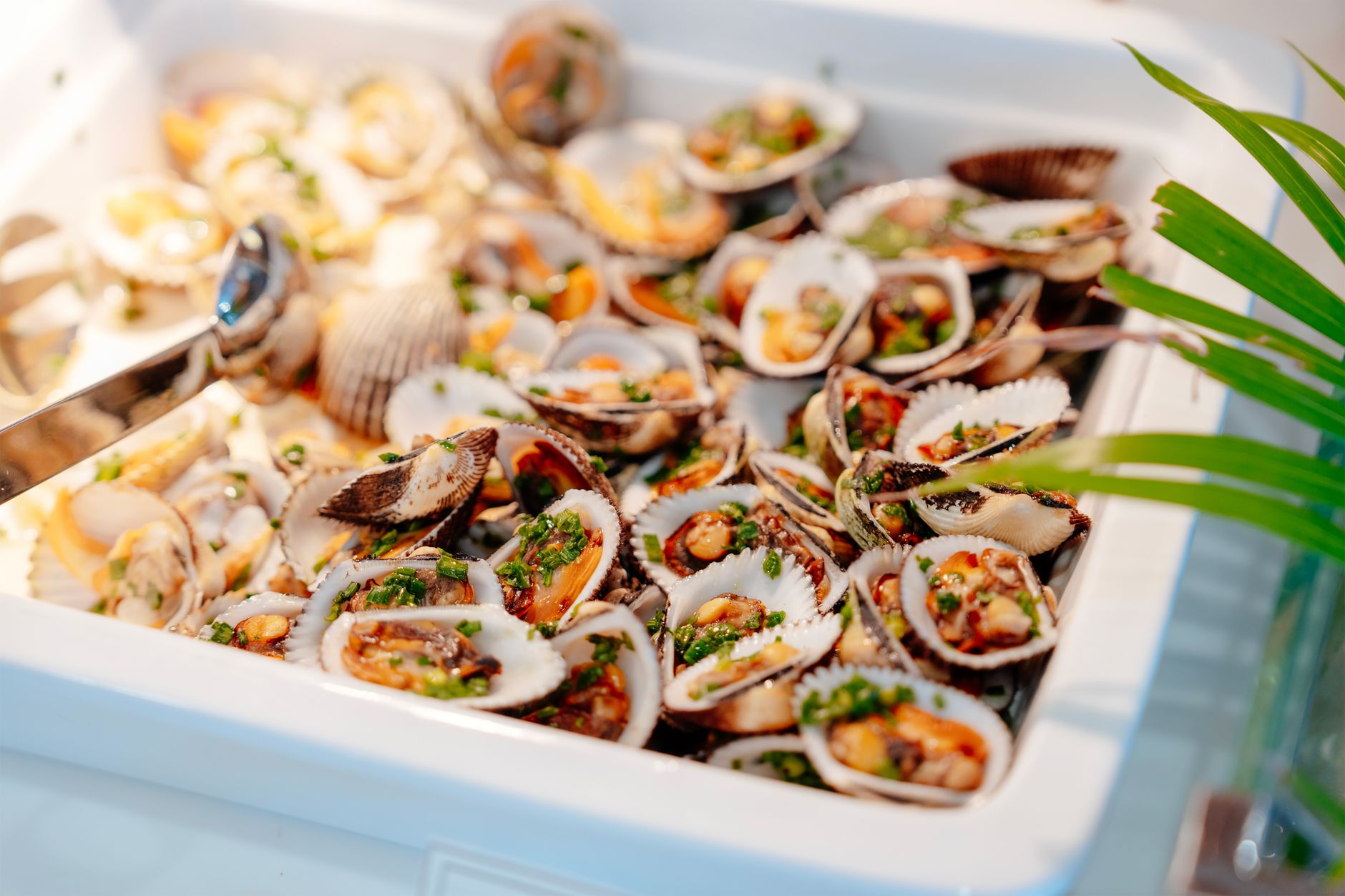 Baked Clams Casino