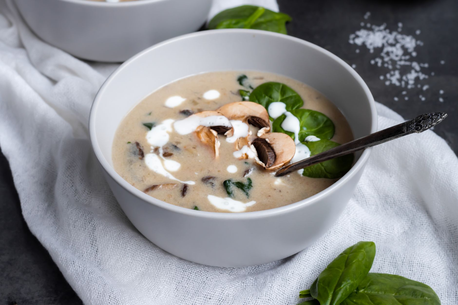 Stroganoff Soup