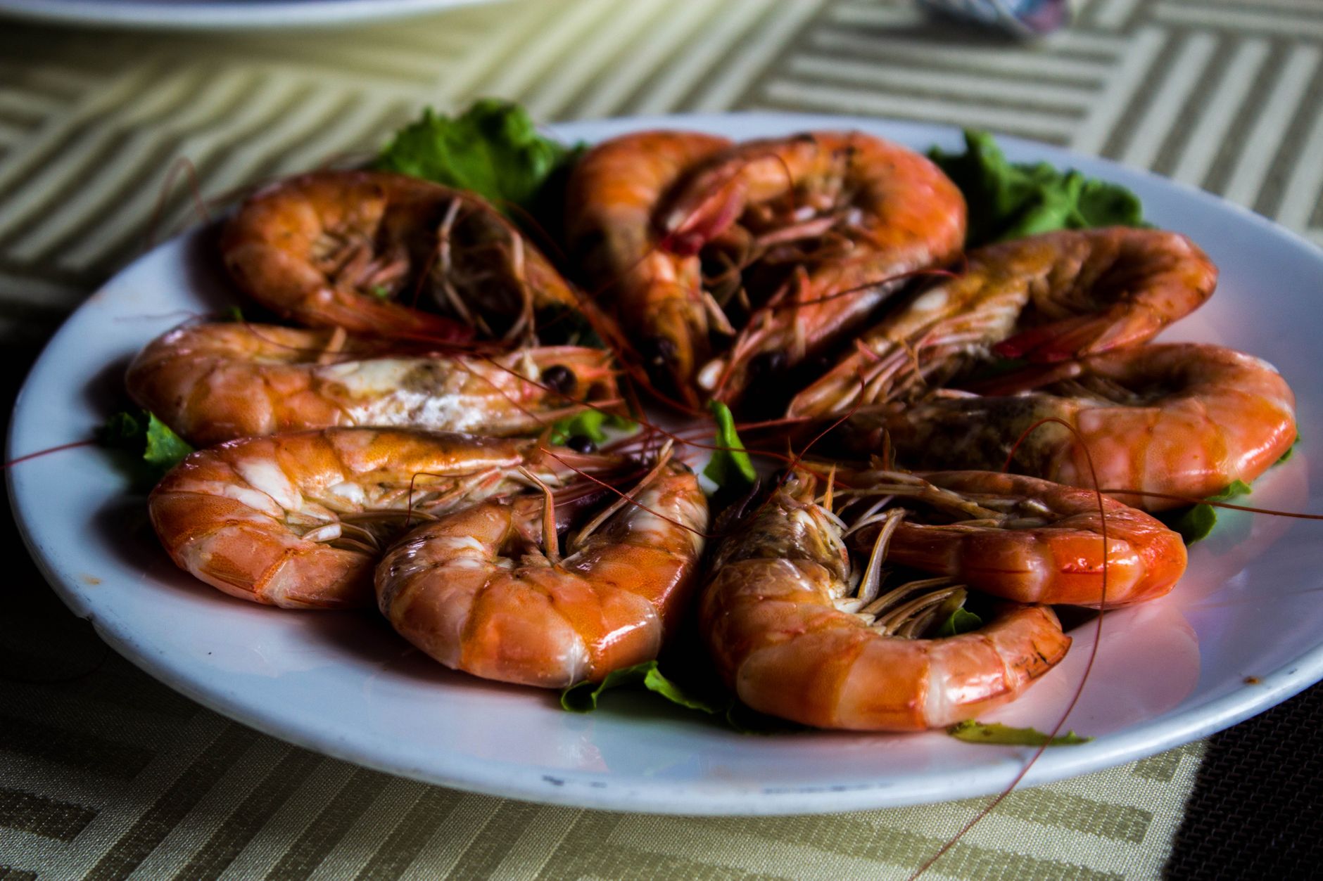 Shrimp Oreganata