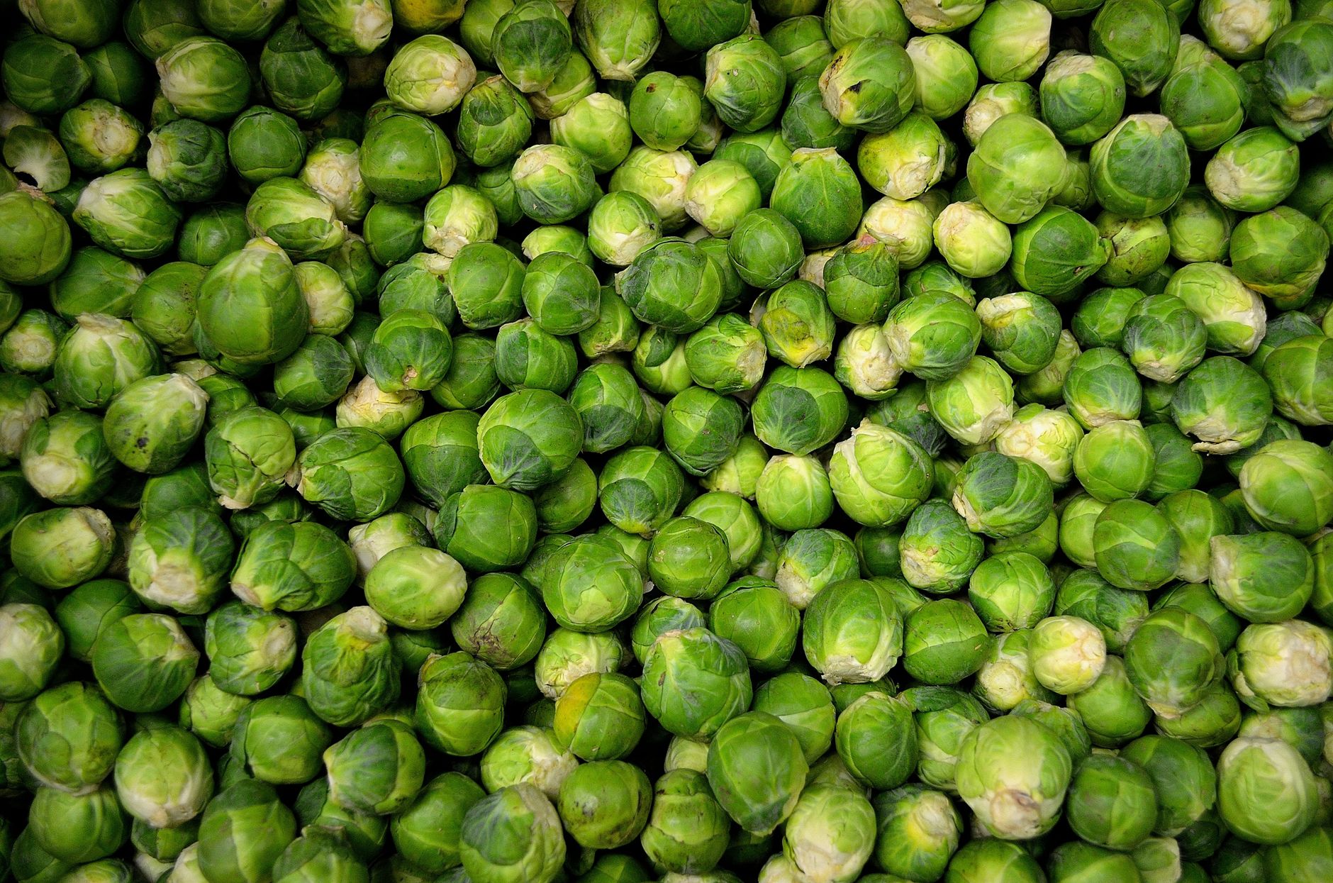 Sicilian Brussels Sprouts