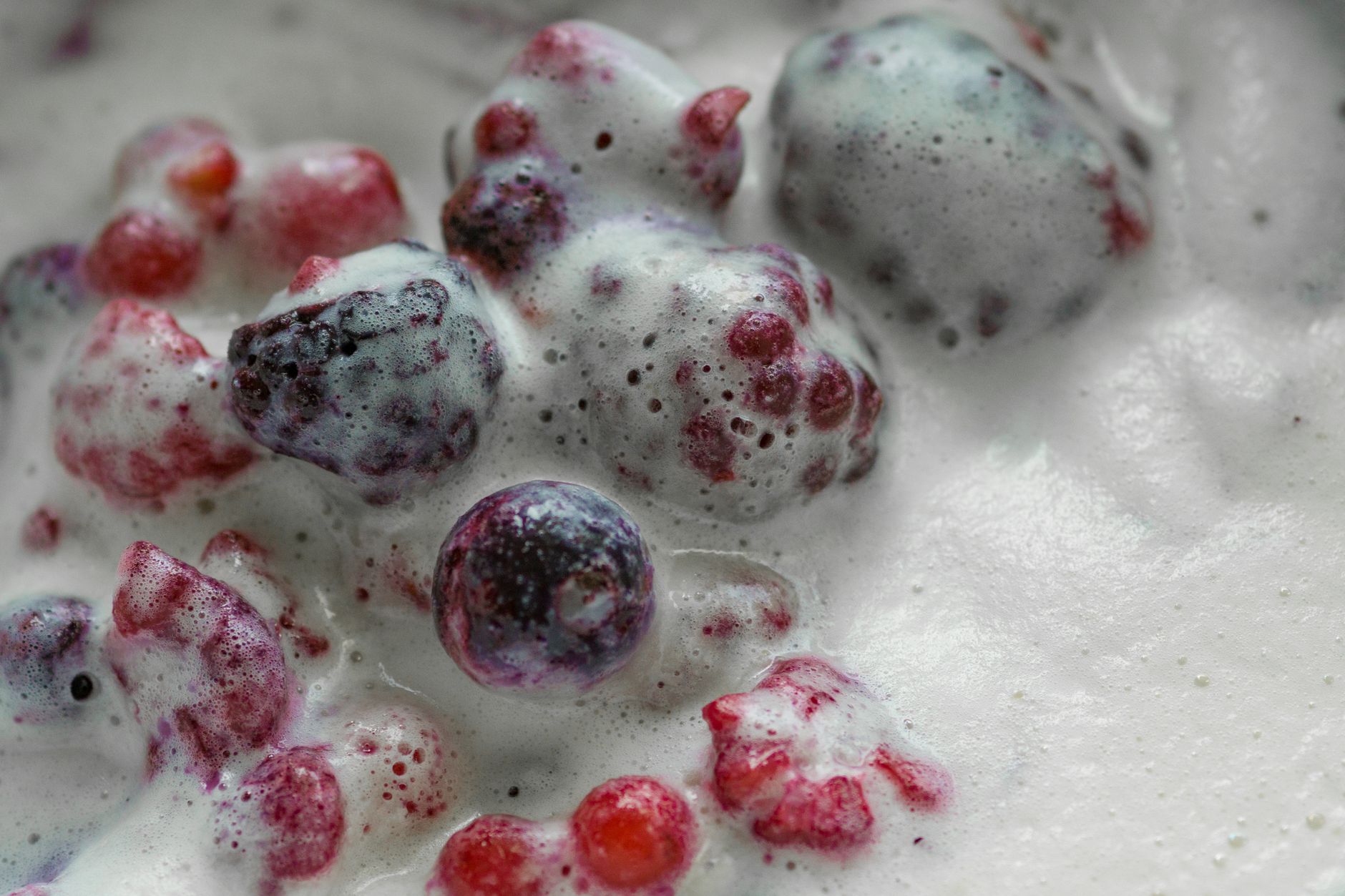 Creamy Blueberry Gelatin Salad