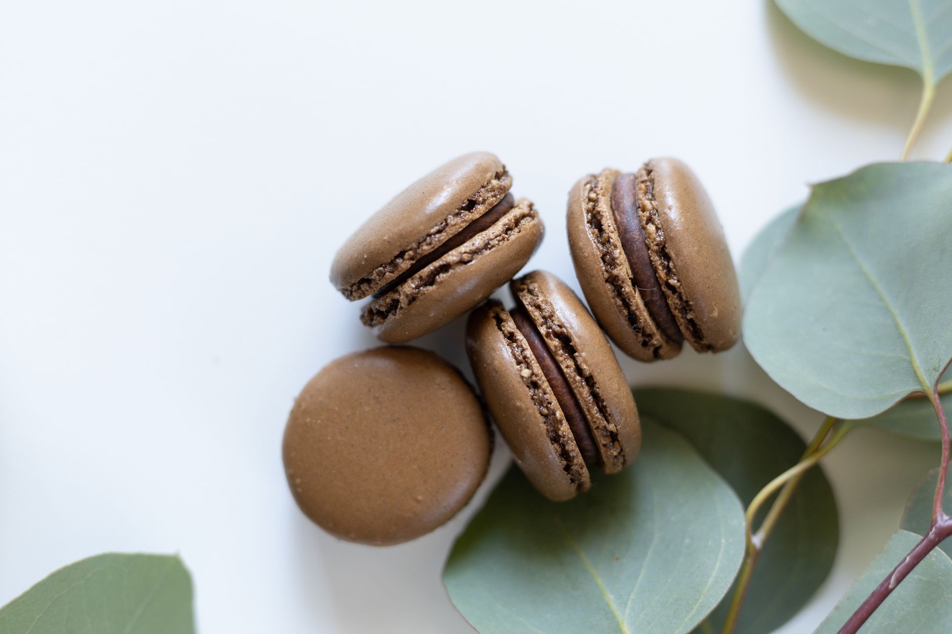 Chocolate Macadamia Macaroons