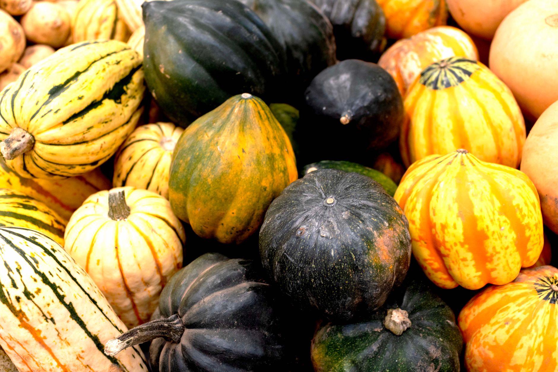 Roasted Acorn Squash Recipe
