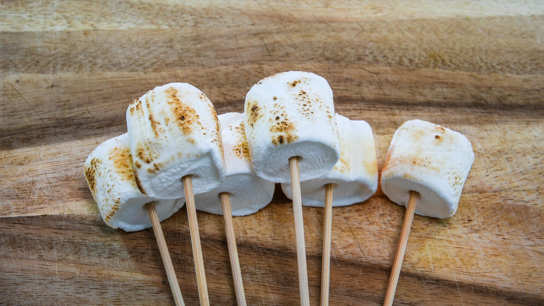 Chocolate fondue & toasted marshmallow