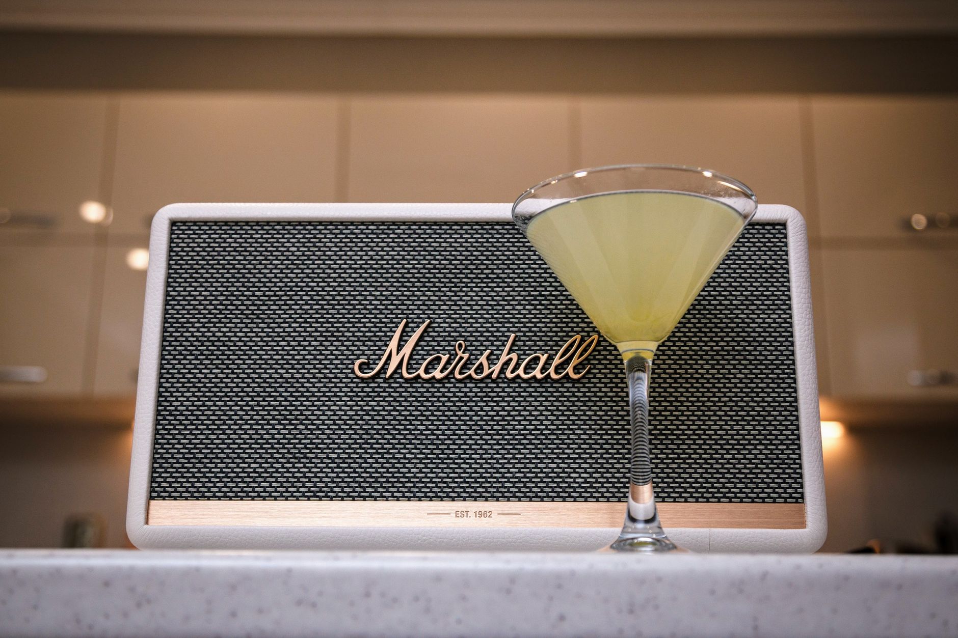 Pickle Martini