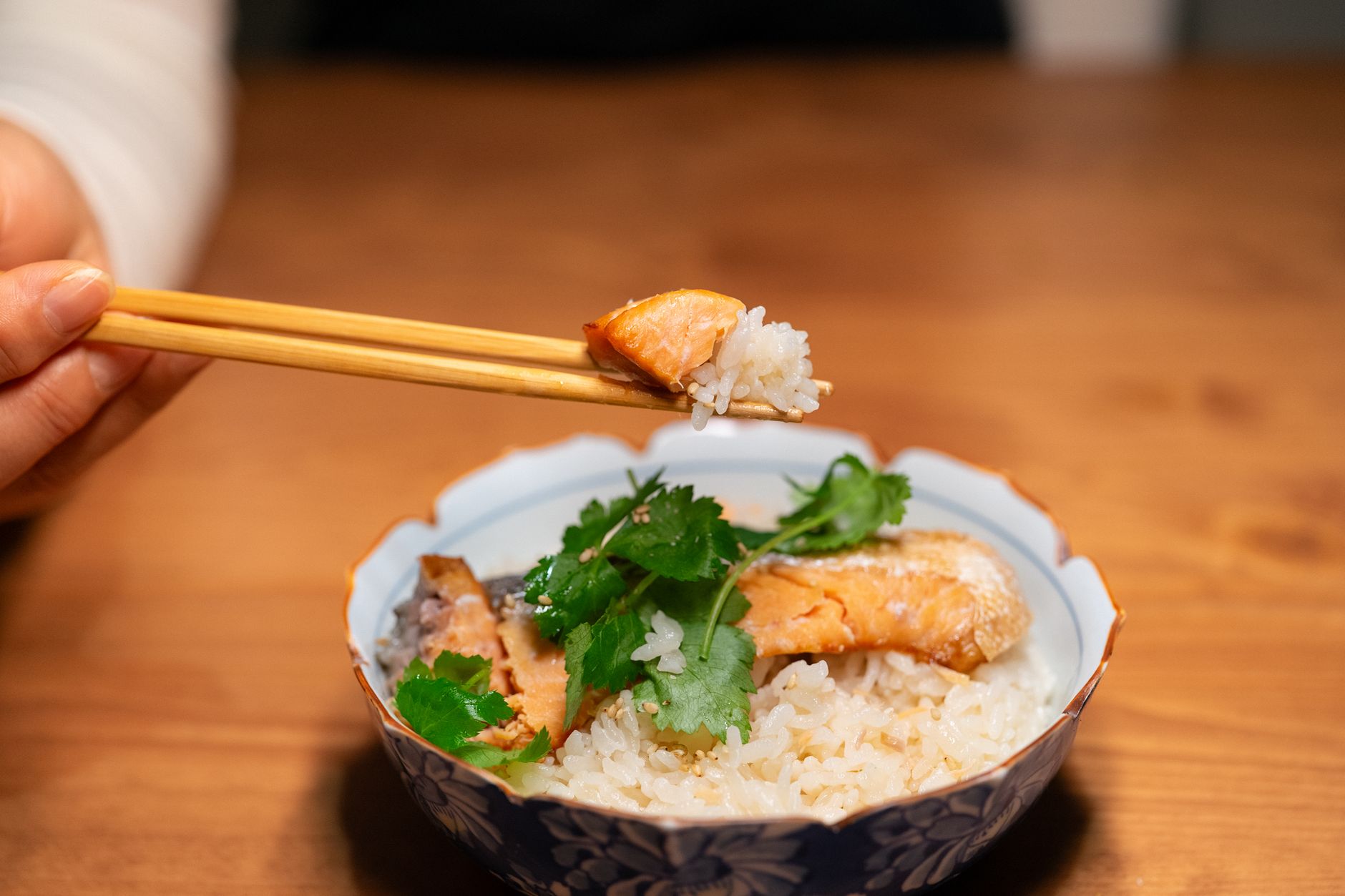 Japanese gohan rice