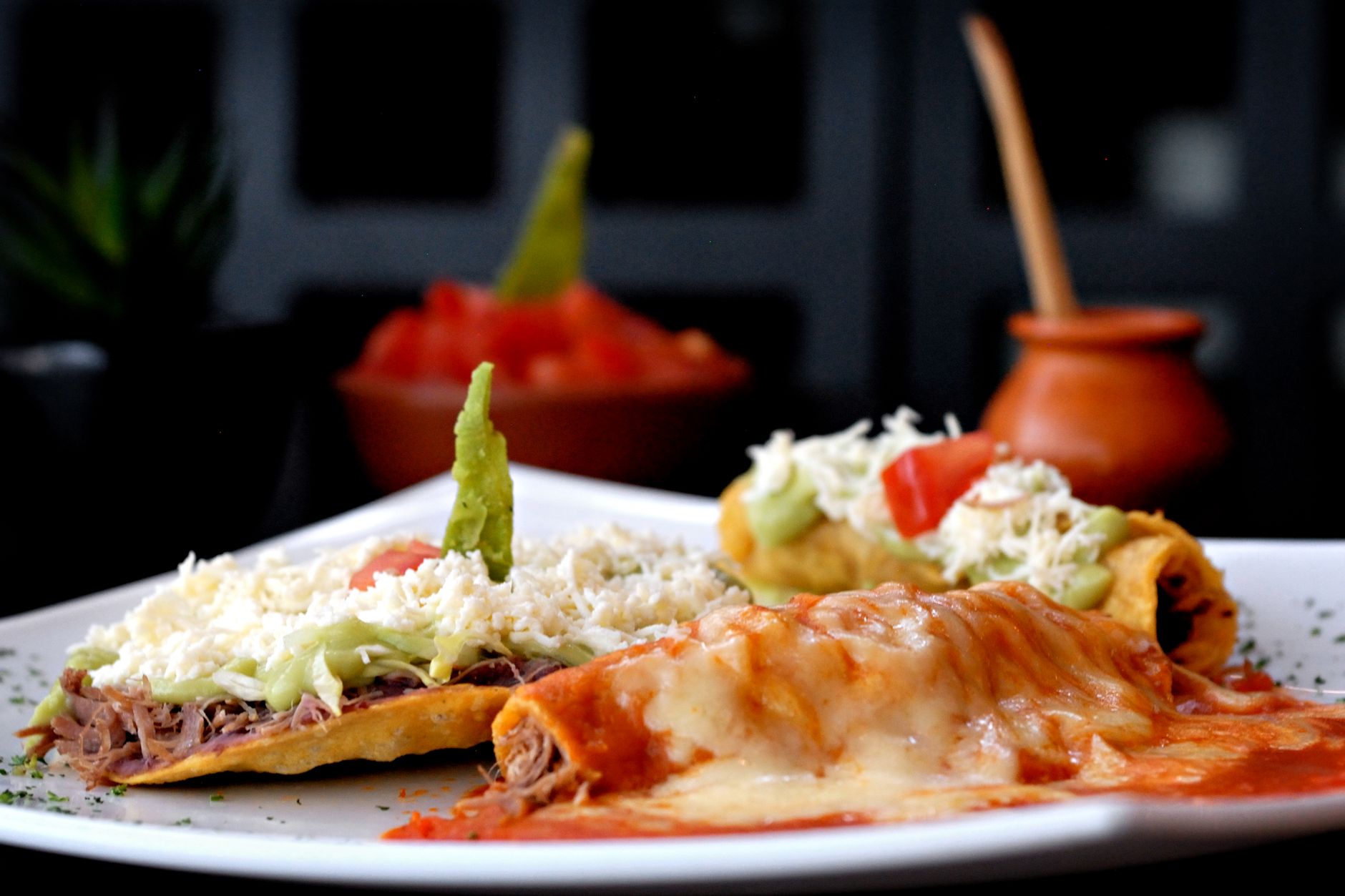 Cheese Enchiladas