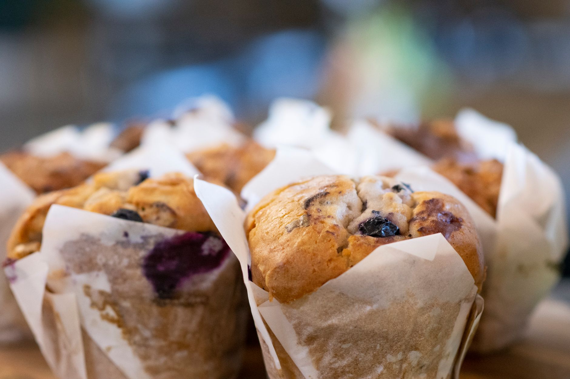 Blueberry Muffin