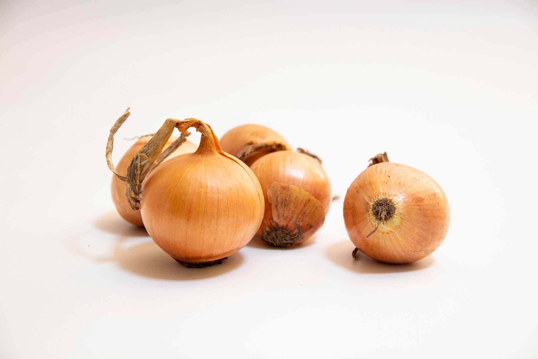 Tennessee Onions