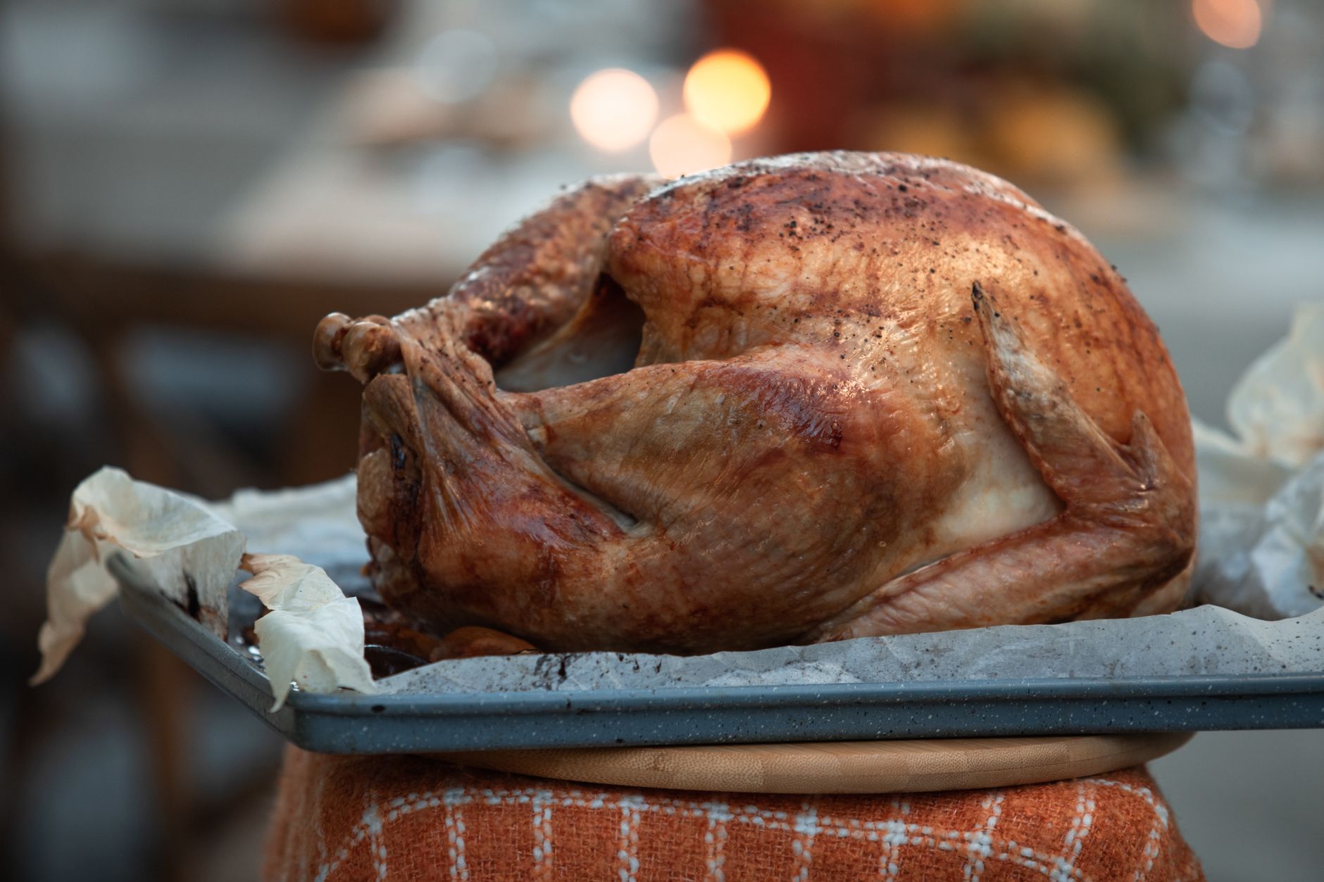 Roasted Wild Turkey