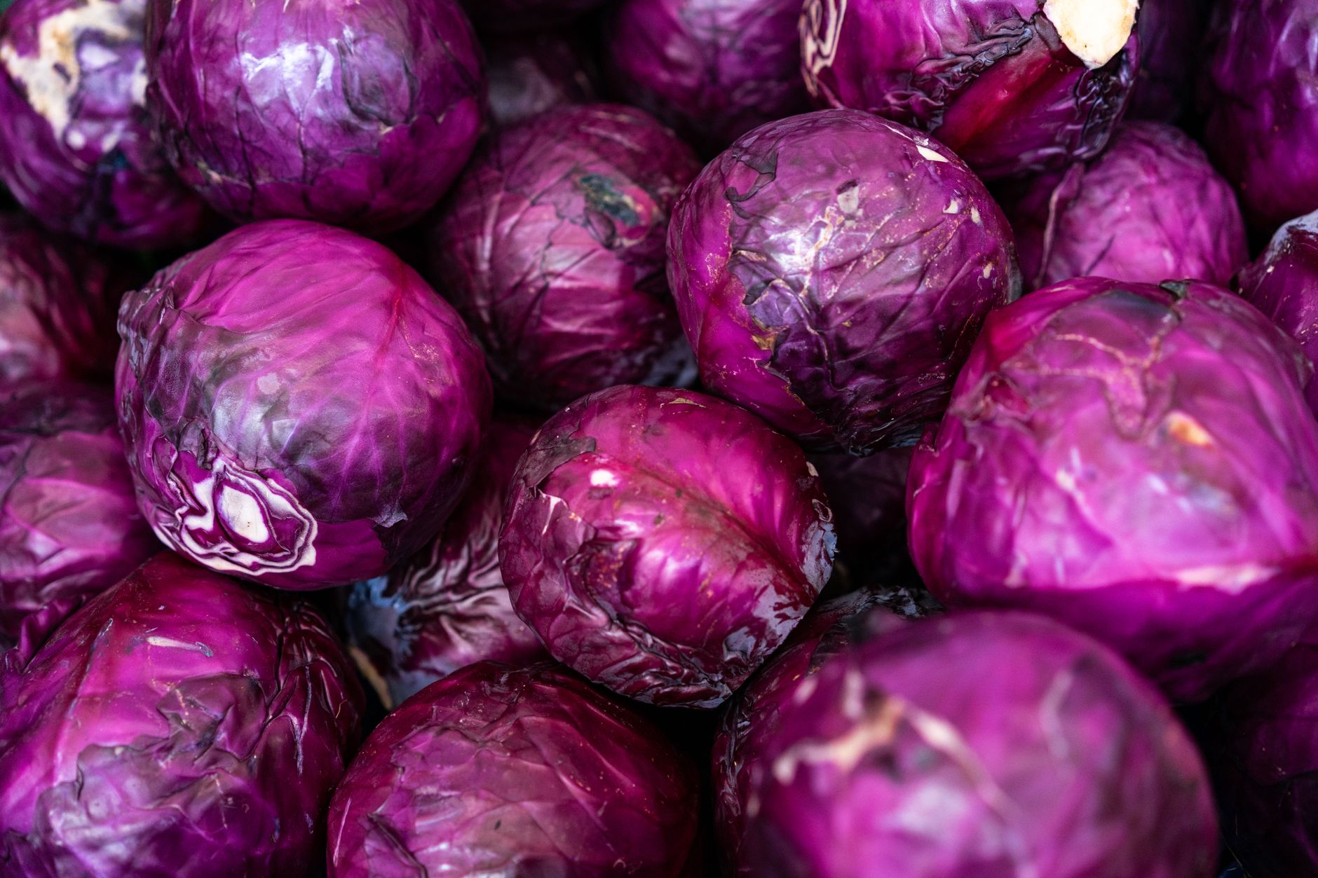 Braised Red Cabbage