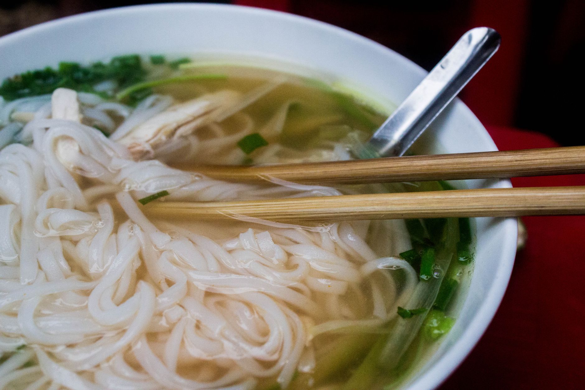 The Best Homemade Chicken Noodle Soup