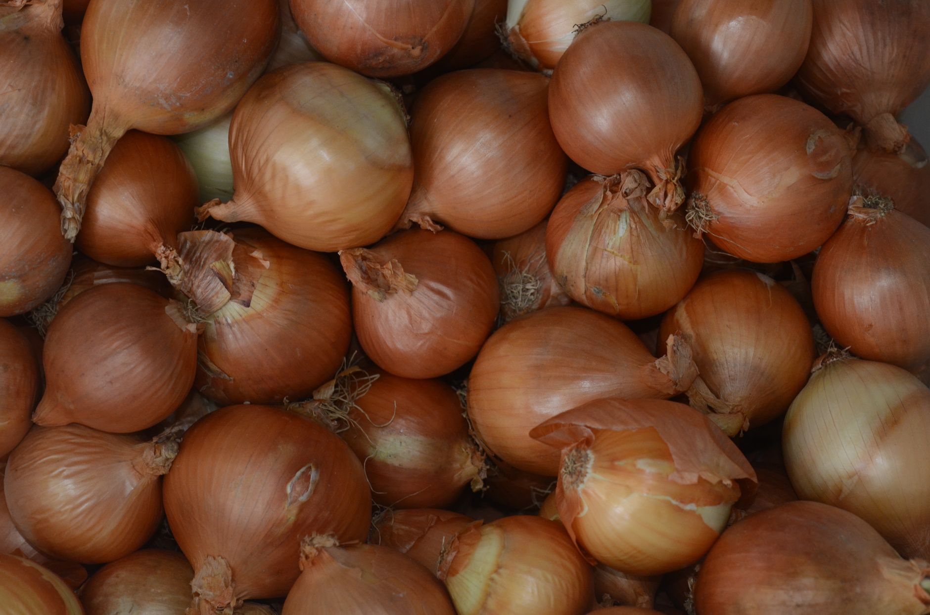 Pearl Onions