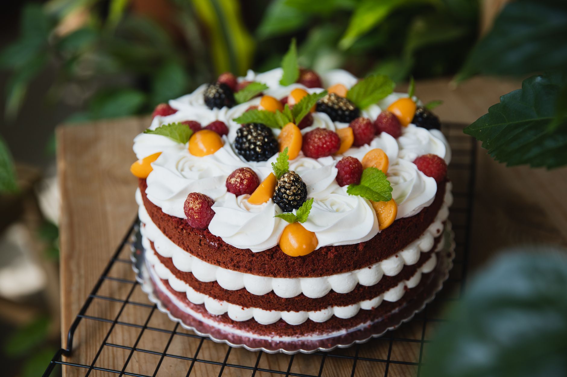 Fruit Cake
