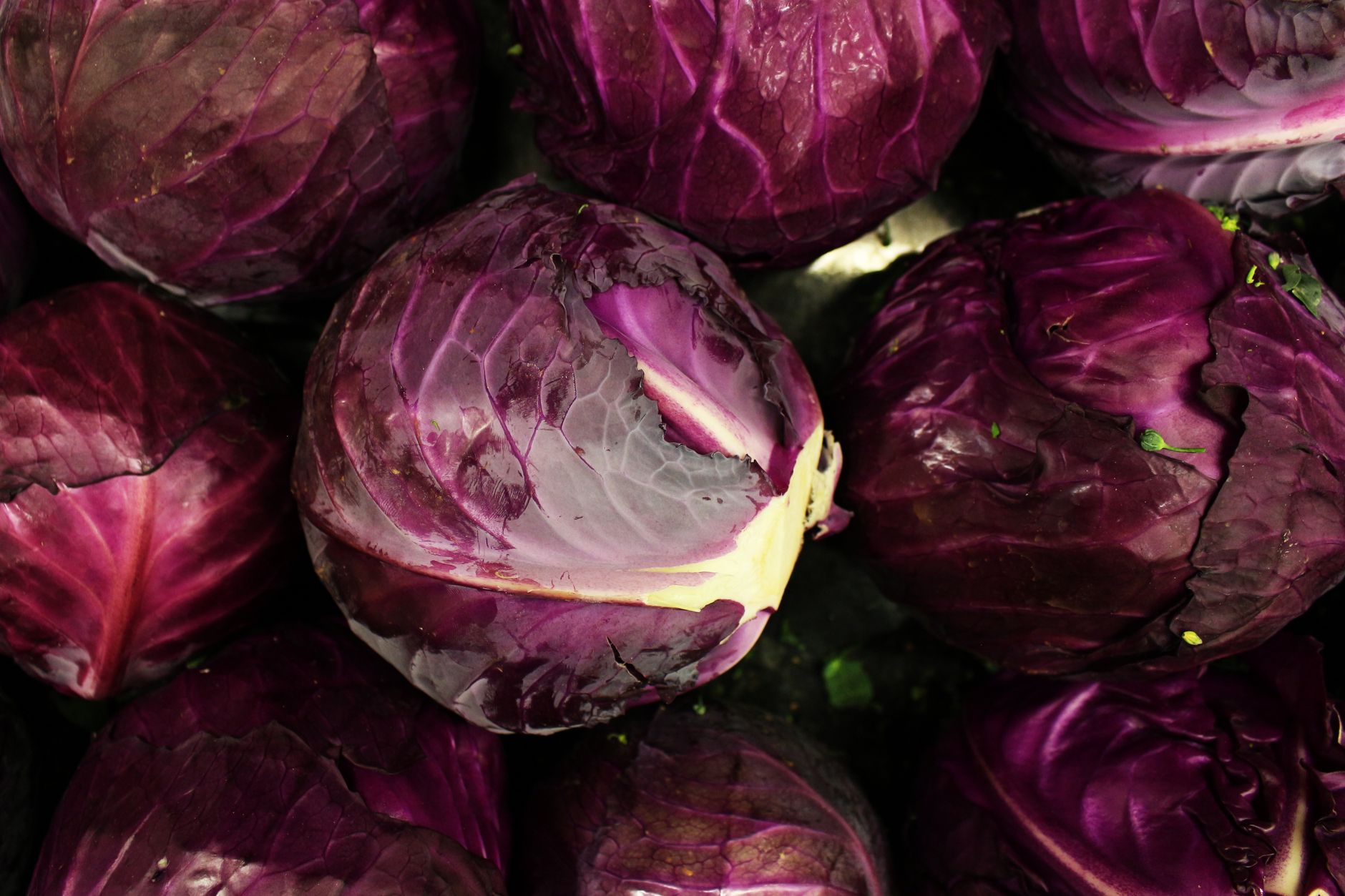 Red cabbage with apples