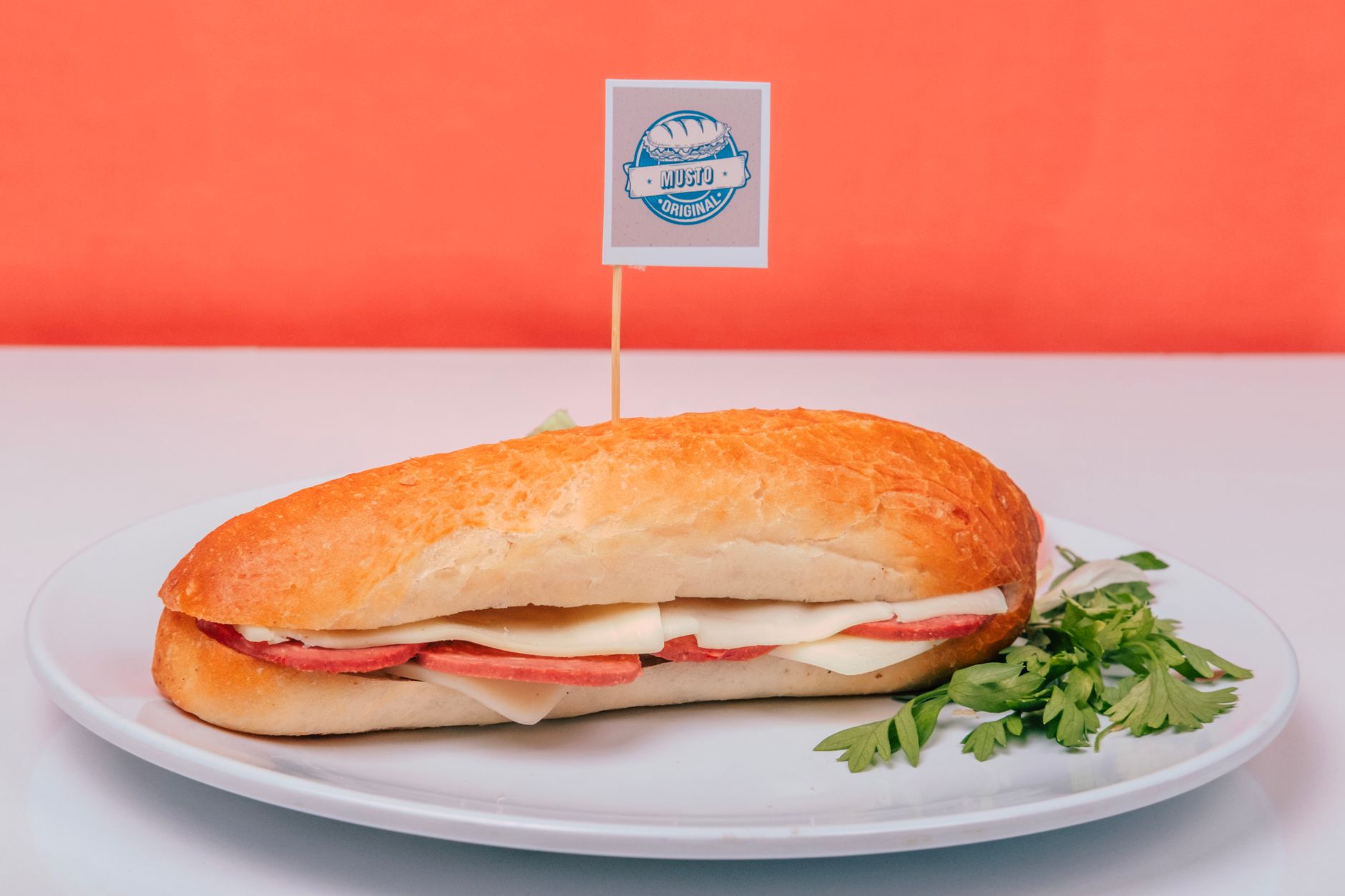 Simple Salami Sandwich