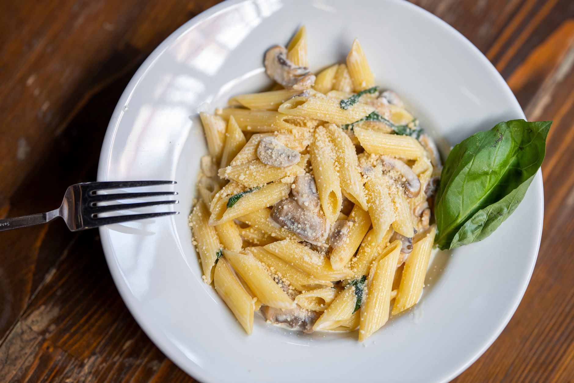 Creamy Mushroom Herb Pasta
