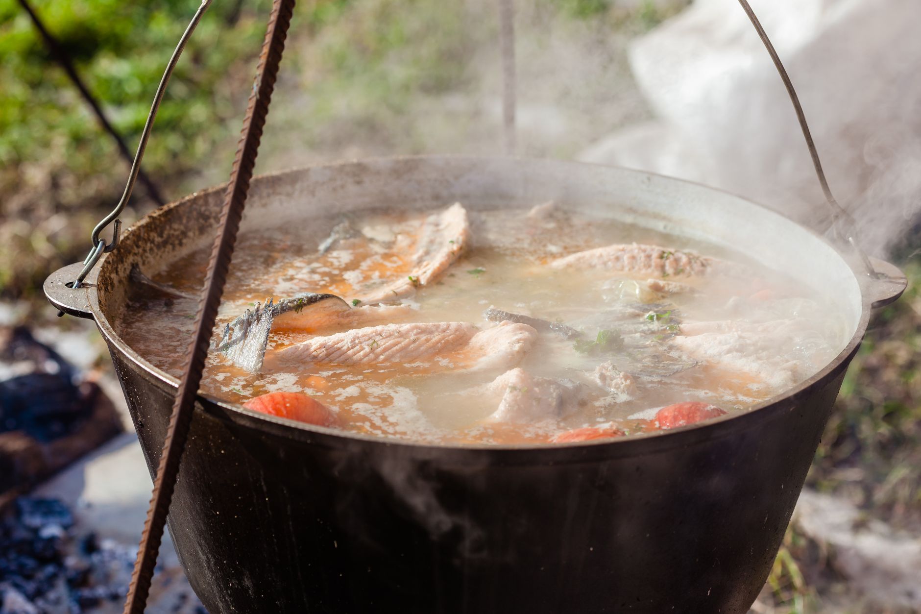 Fish Soup (Ukha)