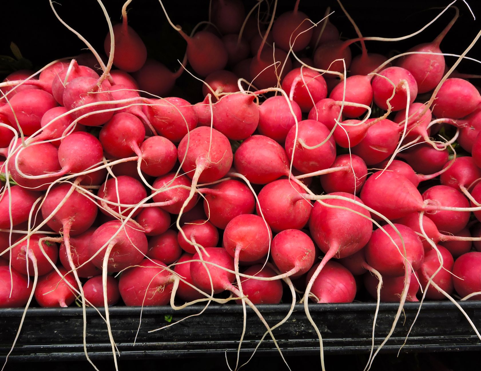 Roasted Radishes