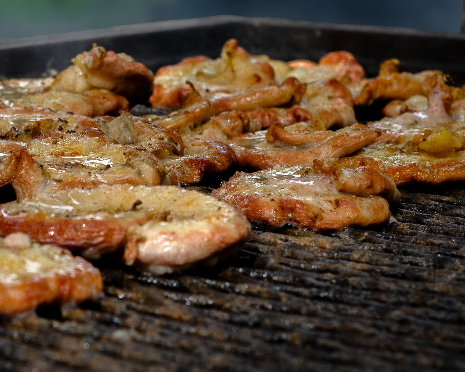 Citrus Grilled Turkey Cutlets