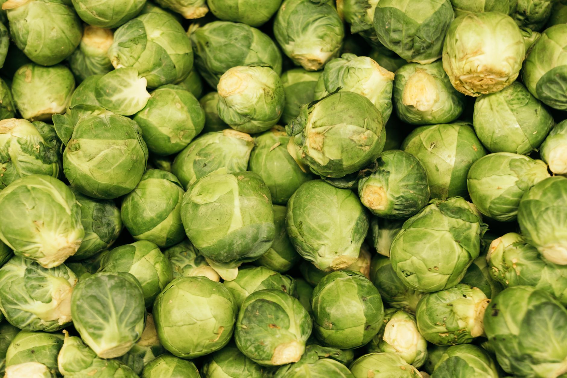 Sauteed Brussels Sprouts Recipe