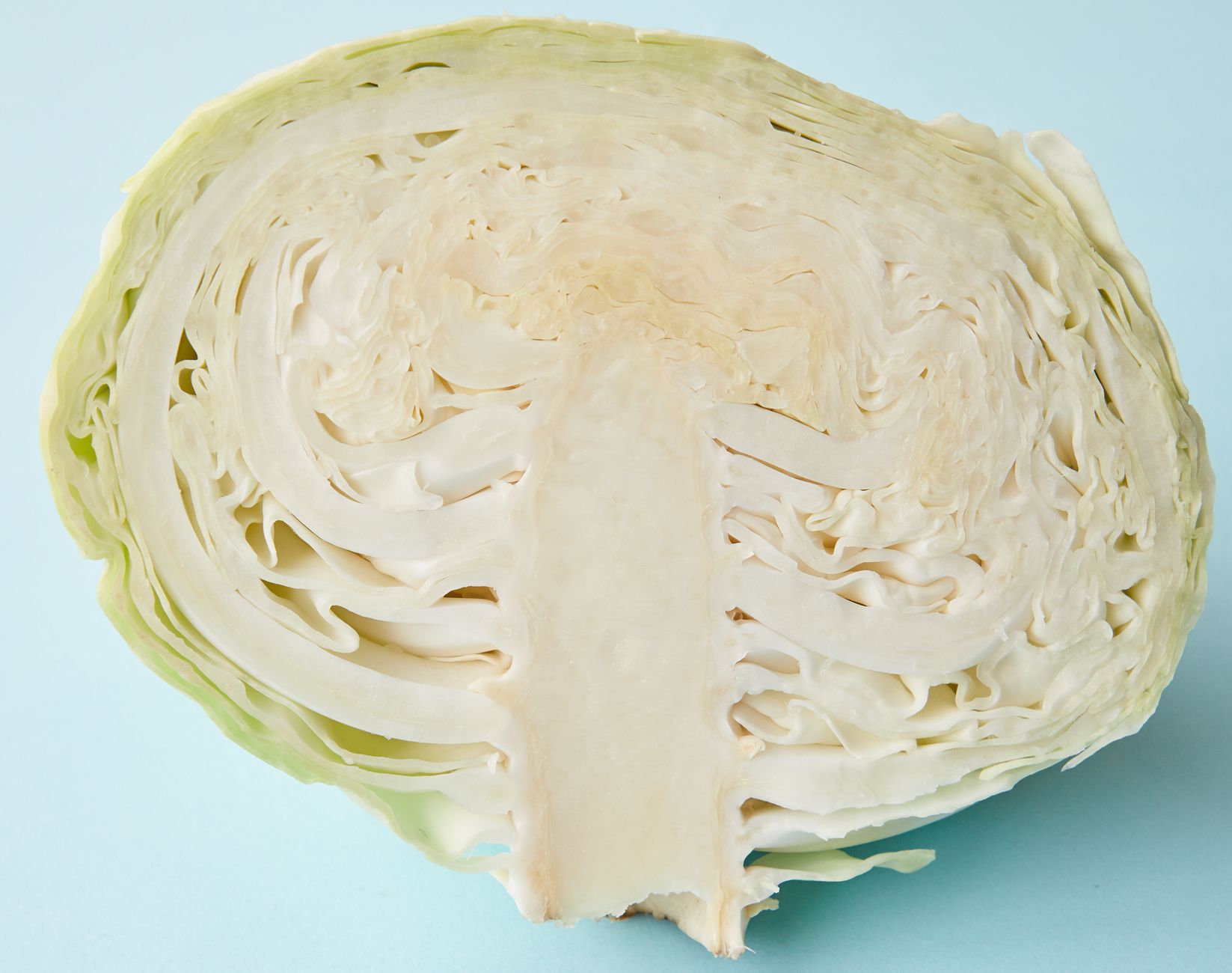 Creamed Cabbage