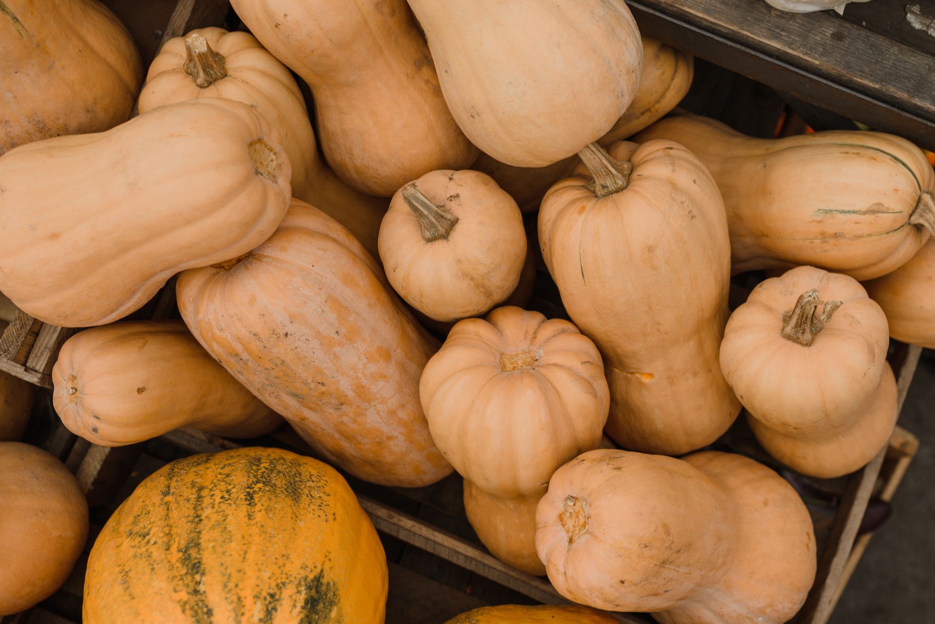 Butternut Squash Jumble