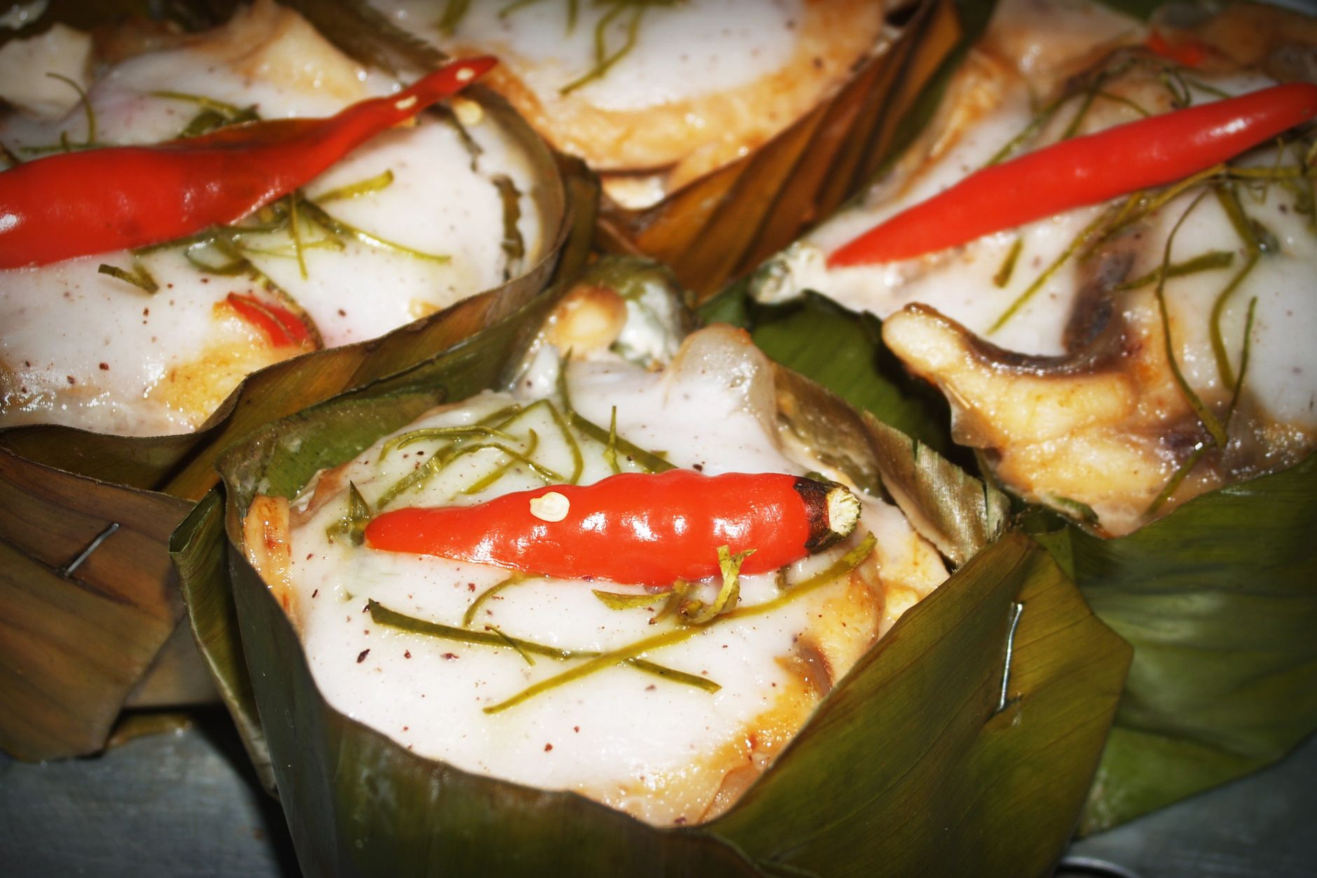 Grilled eggplant with coconut milk